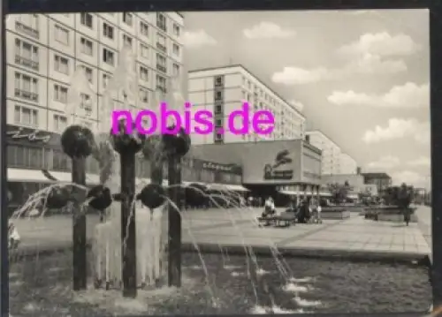 Magdeburg Karl Marx Strasse o 12.7.1970