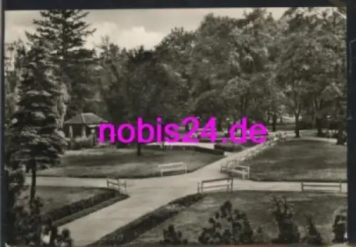 38889 Blankenburg Harz Kurparkanlagen o 8.7.1965