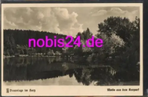 38700 Braunlage Harz Kurparkanlagen *ca.1930