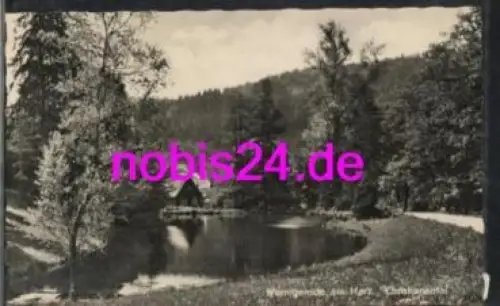 38855 Wernigerode Harz Christianental *ca. 1958