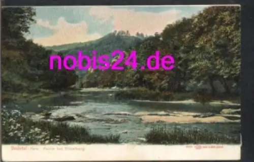 38889 Bodetal Harz am Treseburg  *ca.1920