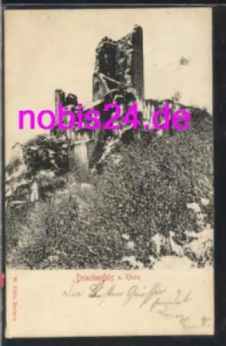 53639 Königswinter Ruine Drachenfels am Rhein o 6.6.1901