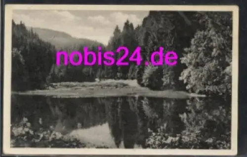 98693 Knöpfelstaler Teich im Schortal o 5.9.1962