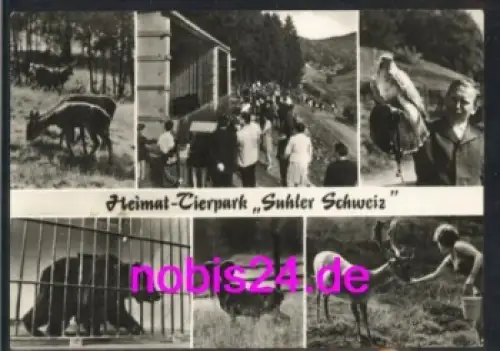 Suhl Tierpark Zoo Tiere o ca.1973