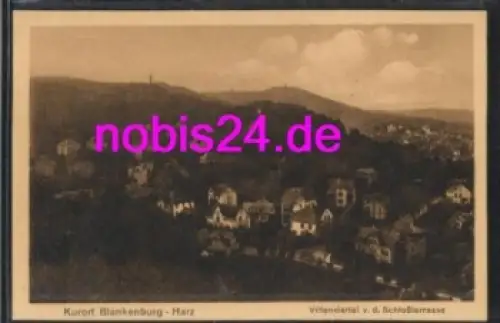 38889 Blankenburg Harz Villenviertel *ca.1920