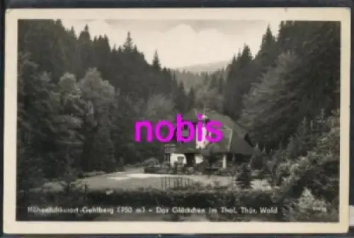 98559 Gehlberg das Glöckchen im Tal o 12.7.1960