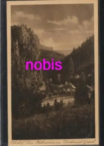 98559 Oberhof Falkenstein Dietharzer Grund  *ca.1920