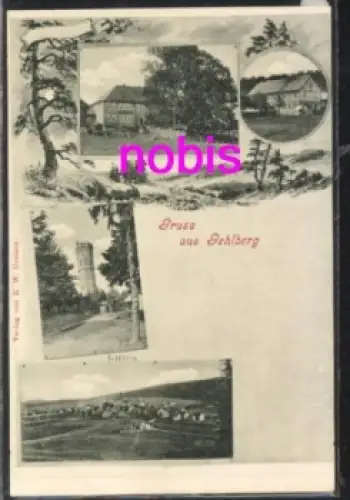 98559 Gehlberg *ca.1910