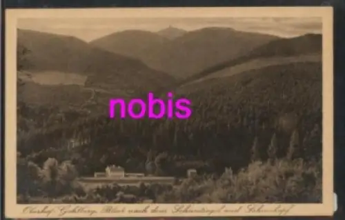 98559 Gehlberg Oberhof Schneetiegelblick  *ca.1920