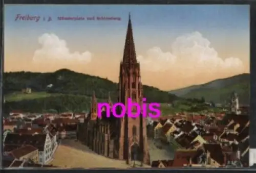 Freiburg Breisgau Münsterplatz *ca.1910