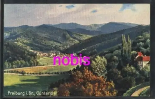Freiburg Breisgau Günterstal Künstlerkarte *ca.1910