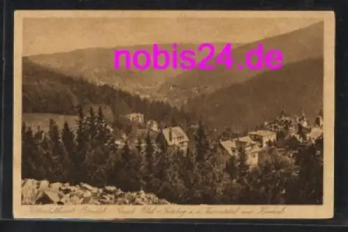 01773 Bärenfels Altenberg Spitzbergblick * um 1925