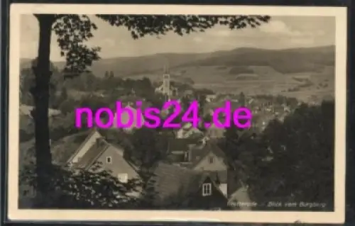 98599 Brotterode vom Burgberg o 26.5.1939