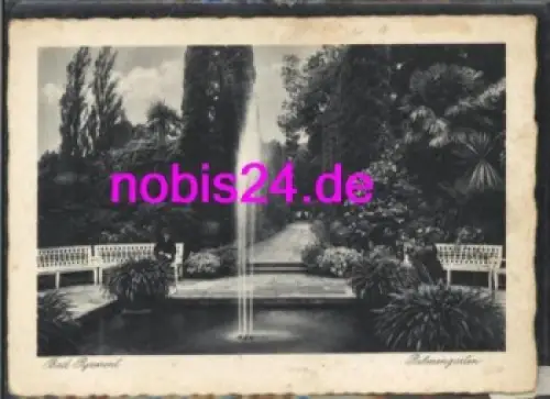 31812 Bad Pyrmont Kurort Palmengarten  *ca.1970