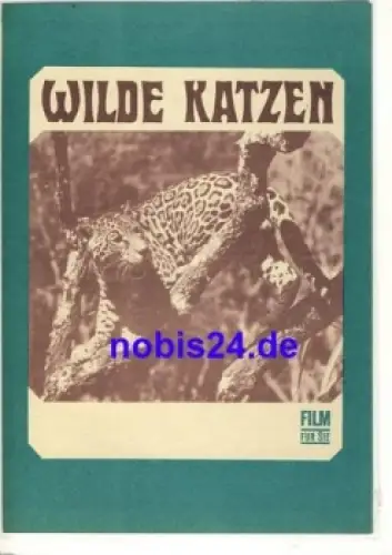 Wilde Katzen von James Algar Progress Filmprogramm 93/69 Film für Sie