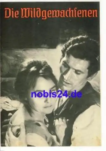Die Wildgewachsenen - Jugoslawischer Film 99/67 Film für Sie Programm