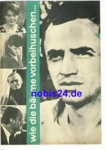 Wie die Bäume vorbeihuschen... - Ungarischer Film 95/67 Film für Sie Programm