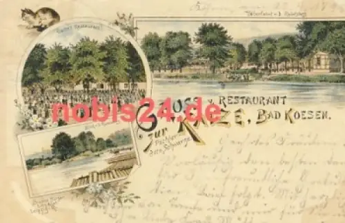06628 Bad Kösen Litho Gasthof zur Katze o 1898