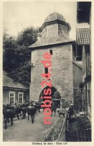 06547 Stolberg Harz Altes Tor Viehabtrieb *ca.1934