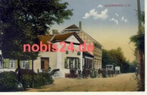 06536 Auerberg Harz Gasthaus  *ca.1915