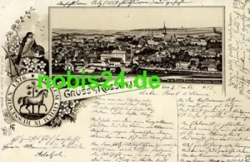 04741 Rosswein Litho Vögel Wappen o 1897