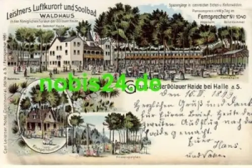 Halle Saale Waldhaus Litho Dölauer Haide o 1899