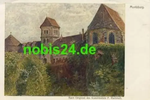 Halle Saale Moritzburg Künstlerkarte Harnisch *ca.1930