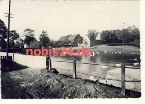 06493 Schielo Harz Dorfteich o 25.9.1957