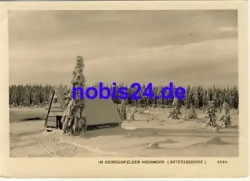 01773  Georgenfelder Hochmoor *ca.1967