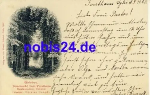 23701 Ukleisee vom Forsthaus o 1903