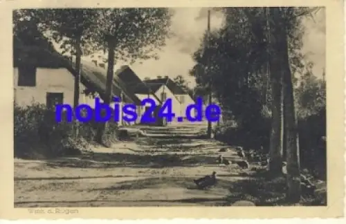 18556 Wiek Rügen Dorfpartie o ca.1935