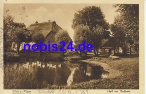 18556 Wiek Rügen am Dorfteich o 1932