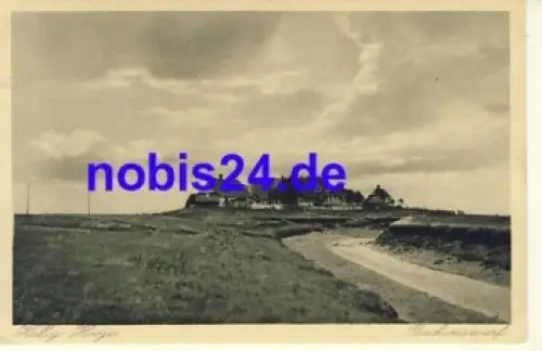 25859 Hallig Hooge Backenswarf *ca.1920