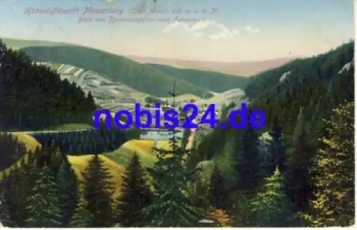 98666 Masserberg o 1917