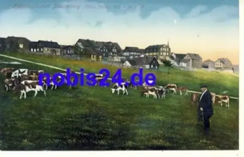 98666 Masserberg *ca.1920