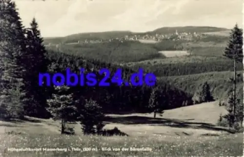 98666 Masserberg von der Bärenfalle o 1960