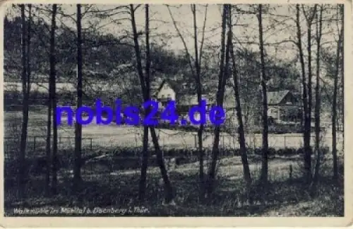 07607 Eisenberg Mühltal Walkmühle * ca.1920