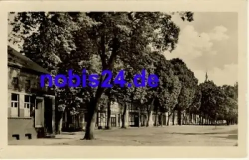 19334 Bad Wilsnack Lindenstrasse o 1955