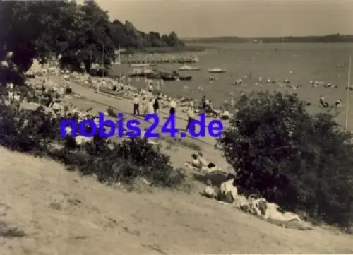 19395 Plau am See Badestrand  *ca.1960