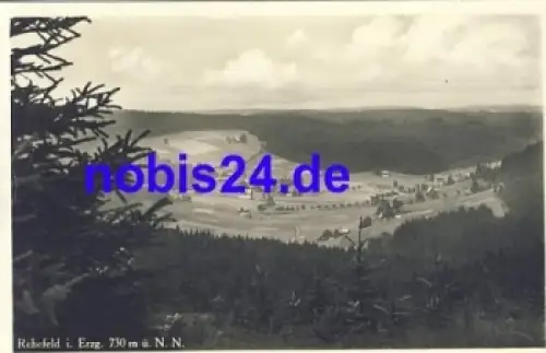 01773 Rehefeld vom Berg *ca.1930