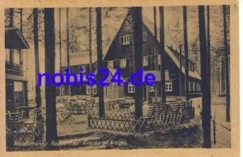 01773 Altenberg Gasthof Raupennest *ca.1950