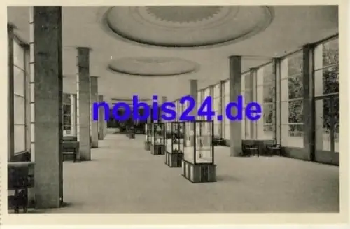08645 Bad Elster Wandelhalle *ca.1955