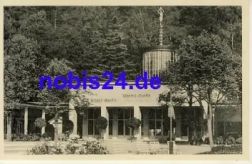 08645 Bad Elster Marienquelle *ca.1955