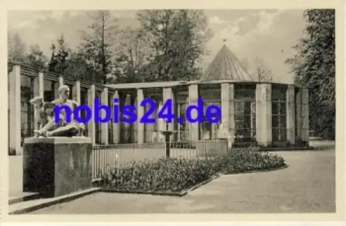 08645 Bad Elster Moritzquelle  *ca.1955