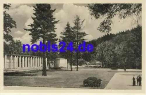 08645 Bad Elster Wandelhalle *ca.1955