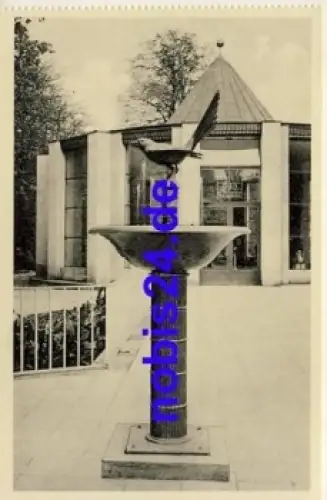 08645 Bad Elster Elsterbrunnen  *ca.1955