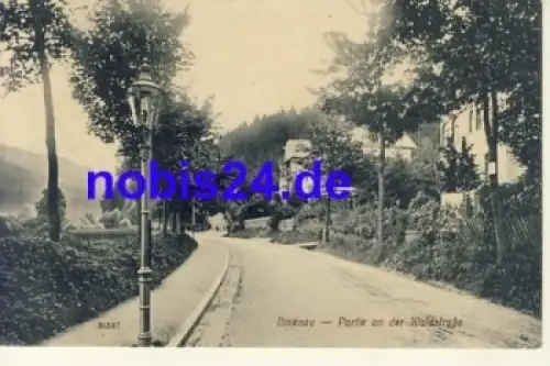 98693 Ilmenau Waldstrasse *ca.1920