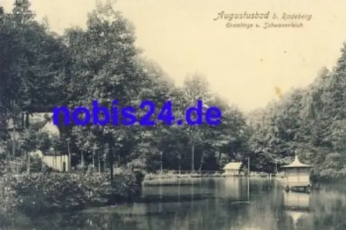 01454 Liegau-Augustusbad Radeberg Schwanenteich o 1909