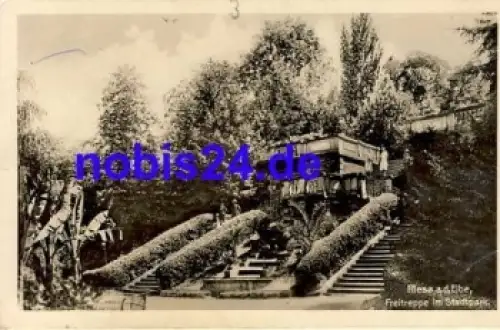 01587 Riesa Elbe Freitreppe Stadtpark *ca.1920