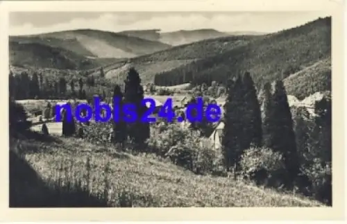 98814 Ilmtal bei Stützerbach *ca.1953